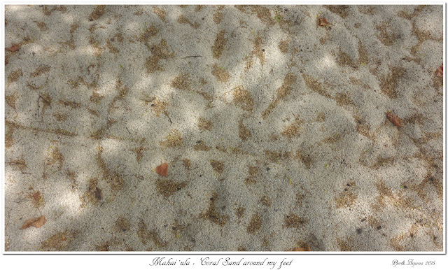 Mahai'ula: Coral Sand around my feet