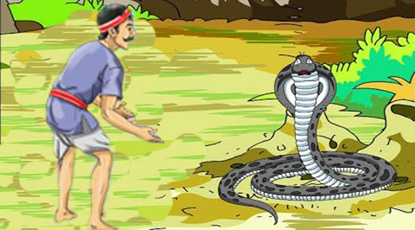 The Farmer and The Snake