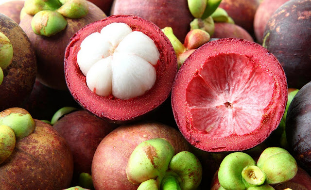 Natural Remedies For Prevention and Treatment Of Cancer Natural Remedies For Prevention and Treatment Of Cancer