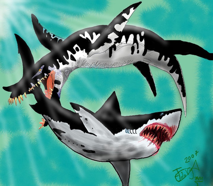 titicaca shark penis Brazilian girls fucked from behind