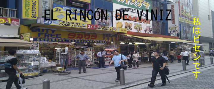 El Rincón de ViniZ