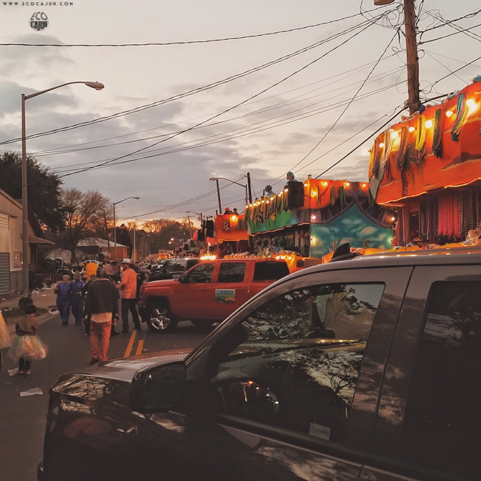 Photo Friday Project Front Yard + Krewe of Rio Eco Cajun
