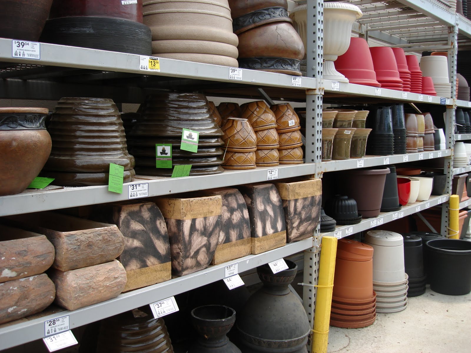 A Life Less Ordinary... The Peace Lily