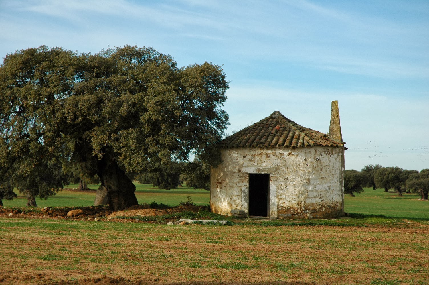 Chozas de Córdoba.: octubre 2013