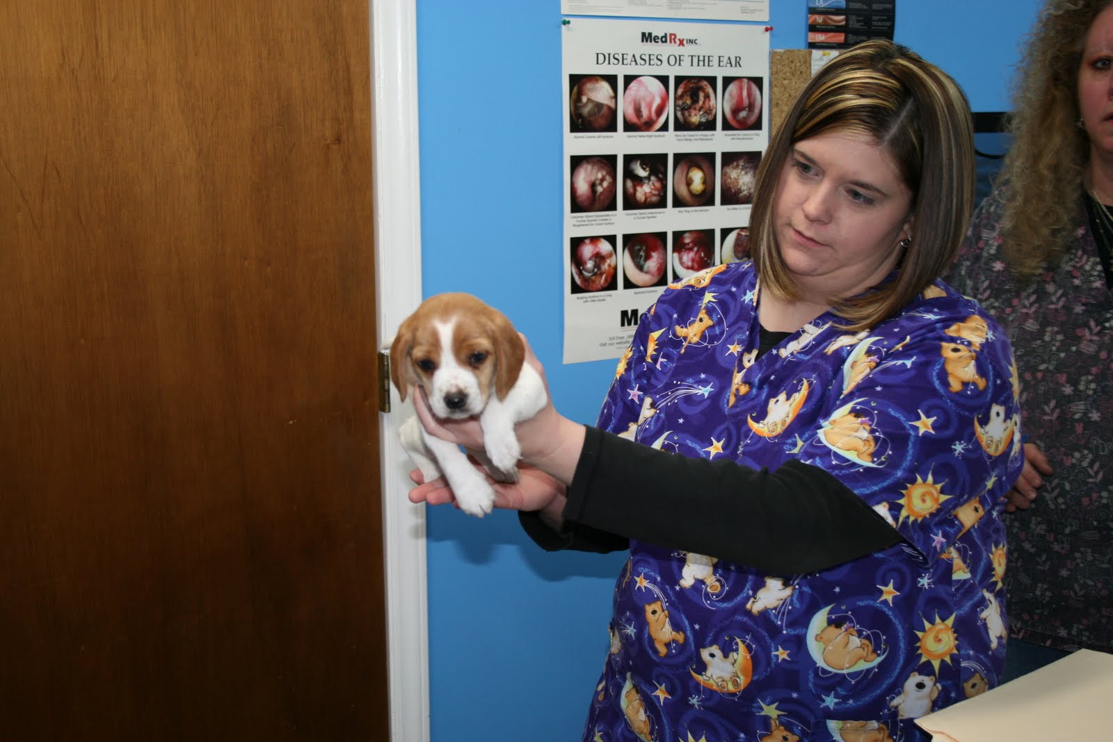 Animal Hospital of Walnut Cove Babies are being born and aren't those