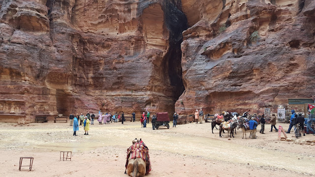 Petra, Jordanie, Jordan, siq, temple, travel, tourism, tourisme, voyages, aventure, adventure, landscape, paysage, elisaorigami