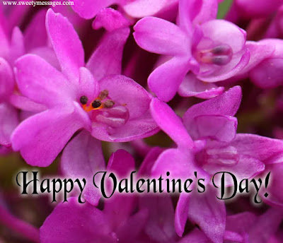 happy valentines day images for wife