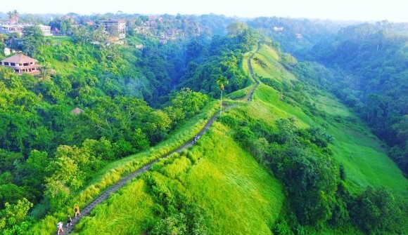 Campuhan Hill Ubud - The Beauty of Love Hill