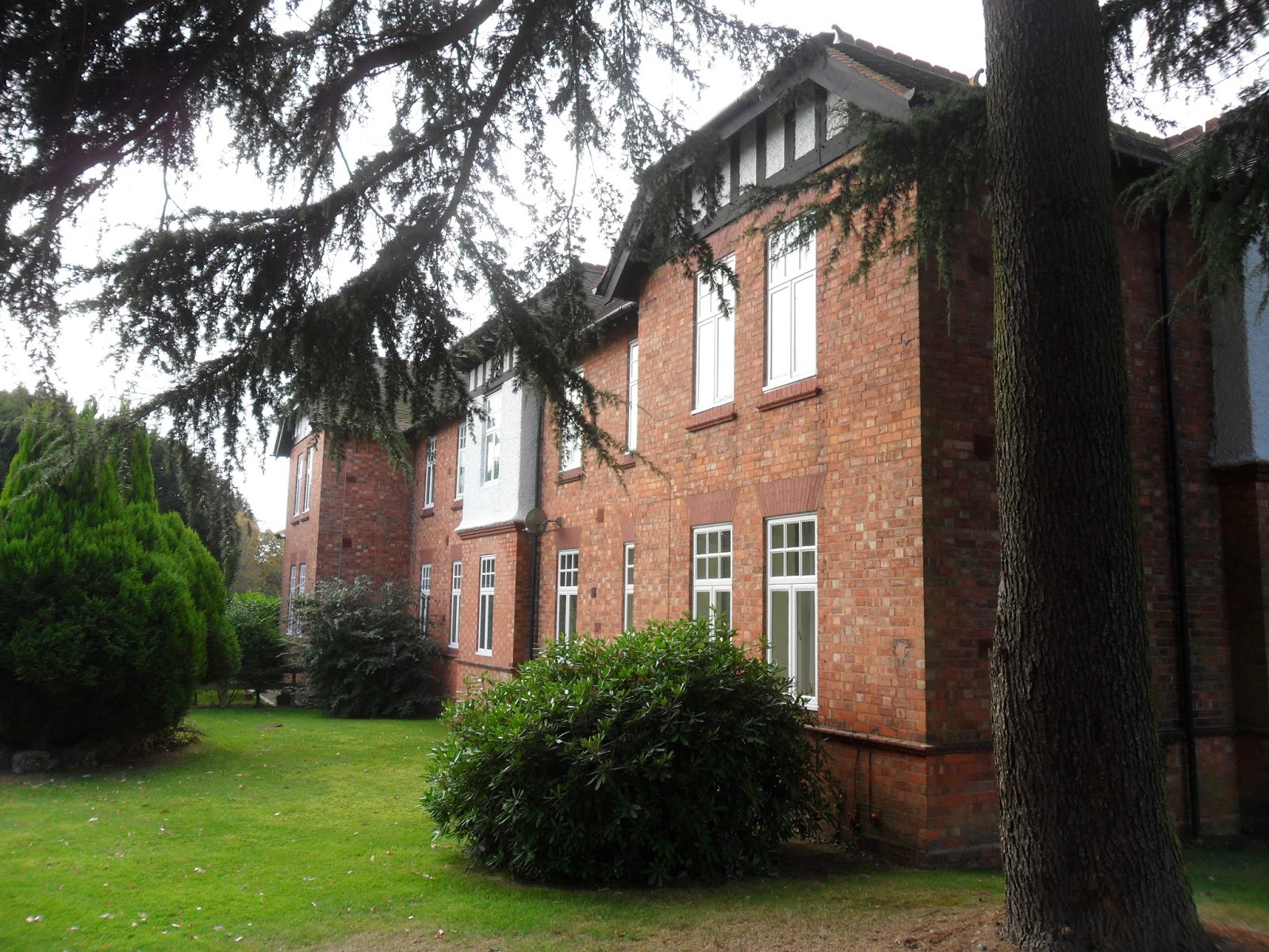 Where I belong. Catherine de Barnes.