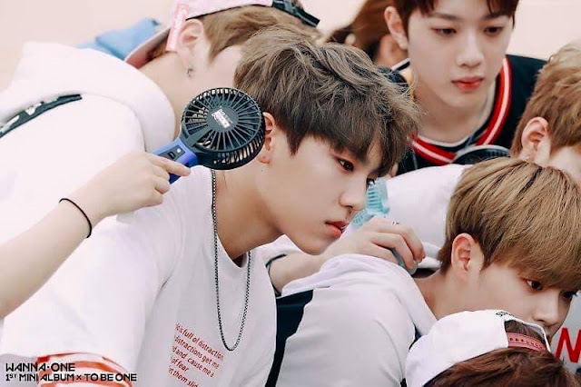 Wanna One 임영민