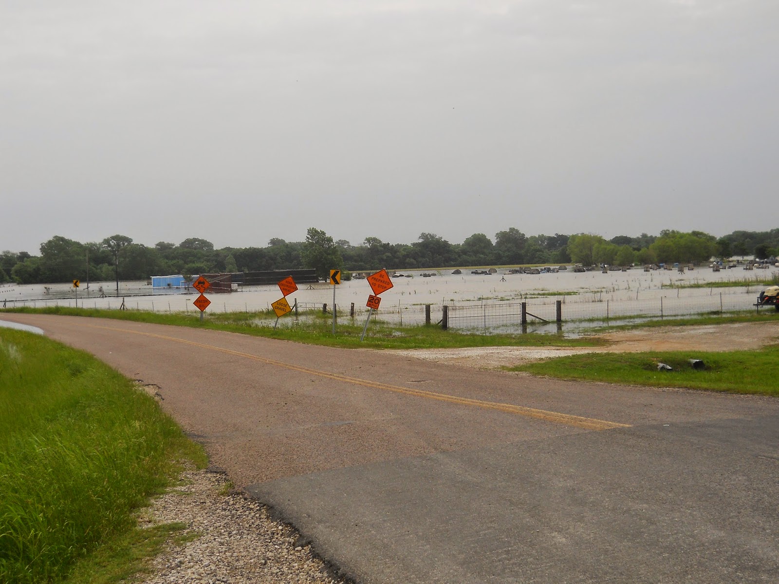 My Emphemeral Rose Weston Texas Flooding 2015 East Fork And White Creek