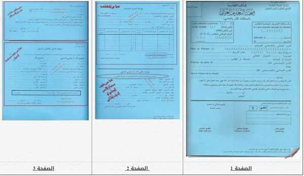 دليل طلب منحة التعليم العالي:كيف تحصل على المنحة