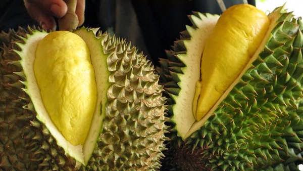 Tips Mudah Cegah Mabuk Buah Durian