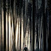 Sinopsis film Robin Hood (2018)