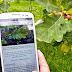 Arbolapp. App para identificar los árboles de nuestro entorno.