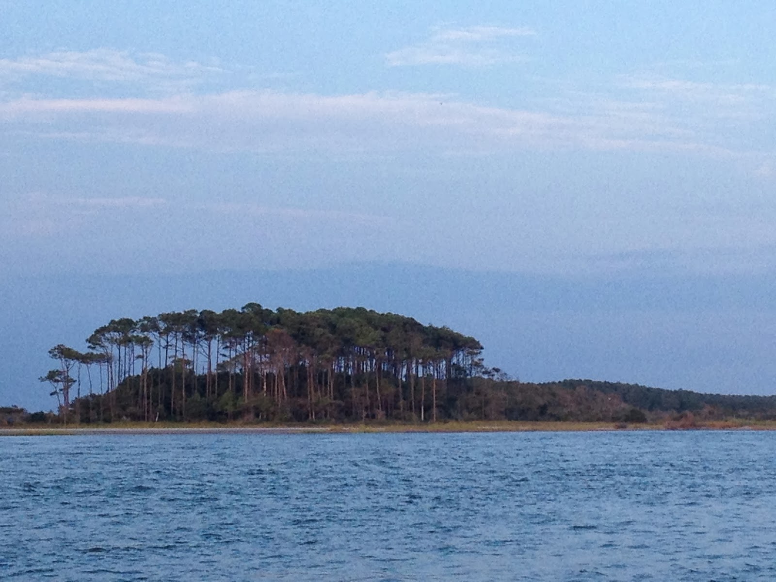 The Hunter and The Gatherer Waites Island Hunt and Gather