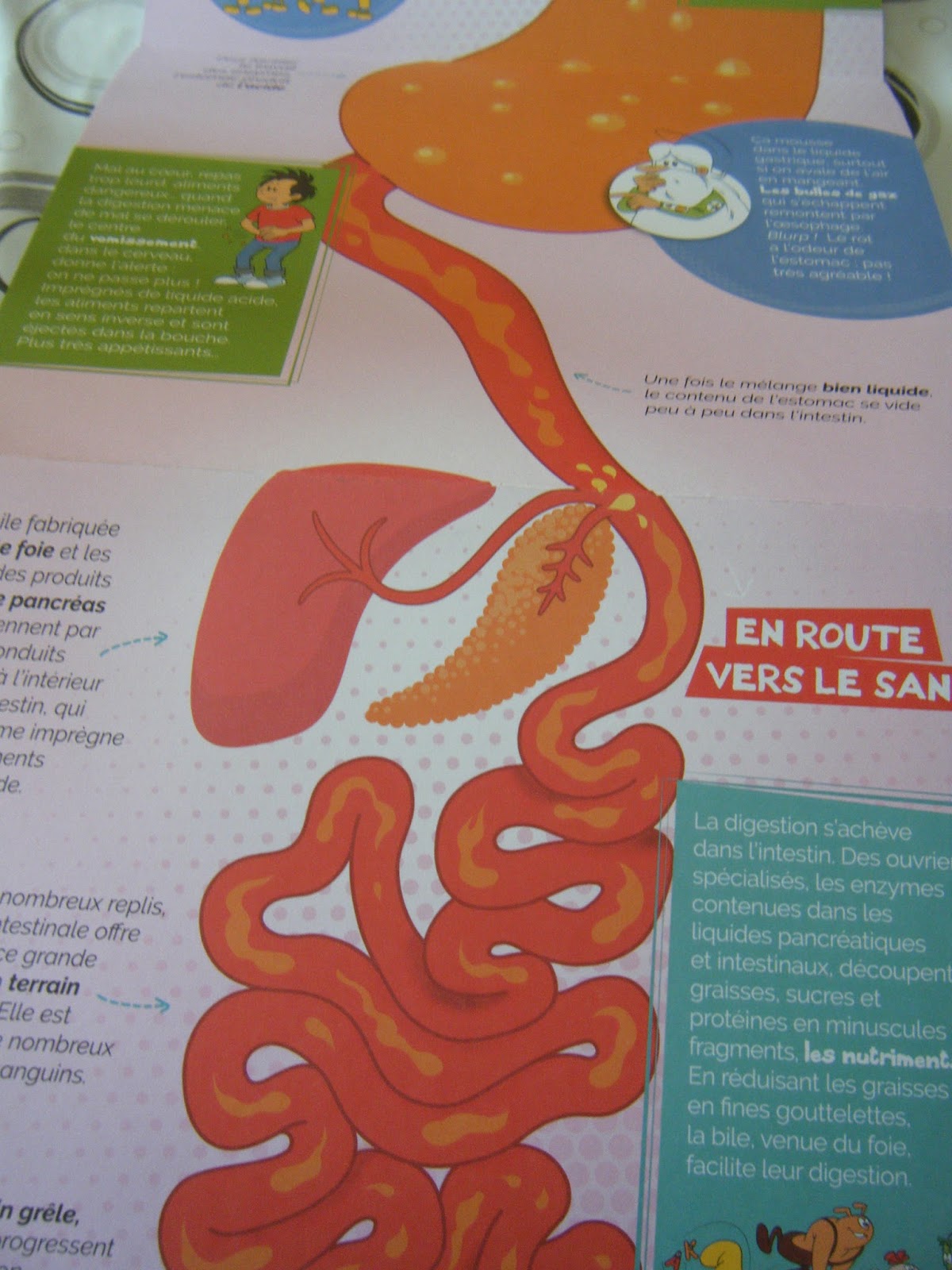 Il Etait Une Fois La Vie La Digestion Chagaz'. et vous?: Il était une fois... la vie : la digestion - Fleurus