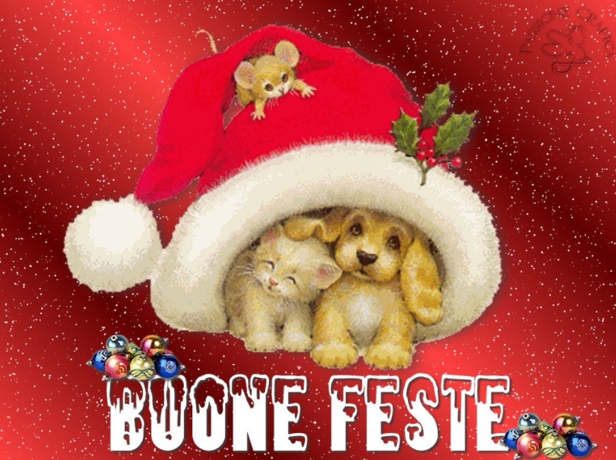 Come passare un Felice e Sereno Natale da Single