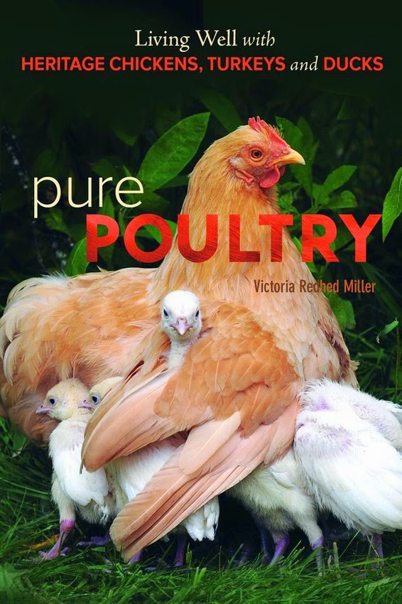 Pure Poultry by Victoria Redhed Miller