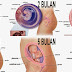 SUAMI ISTRI WAJIB TAHU INI,.!! TAHAP PERKEMBANGAN NORMAL JANIN DARI 1-9 BULAN, (TOLONG SEBAR LUASKAN) SEMOGA BERMANFAAT