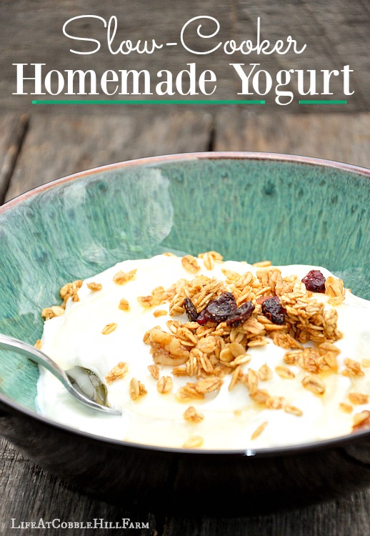 Make It From Scratch Homemade SlowCooker Yogurt Life At Cobble Hill