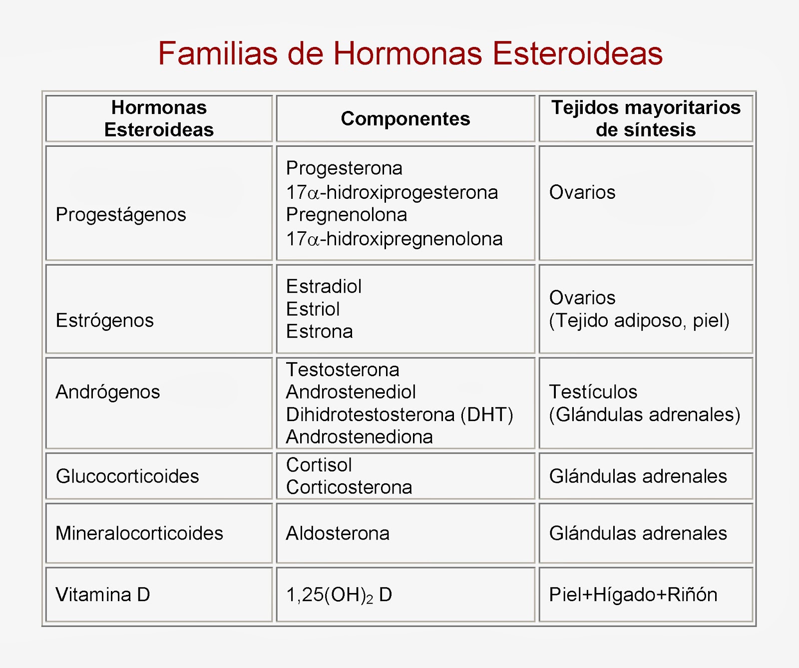 Cuales Son Las Principales Hormonas Esteroides