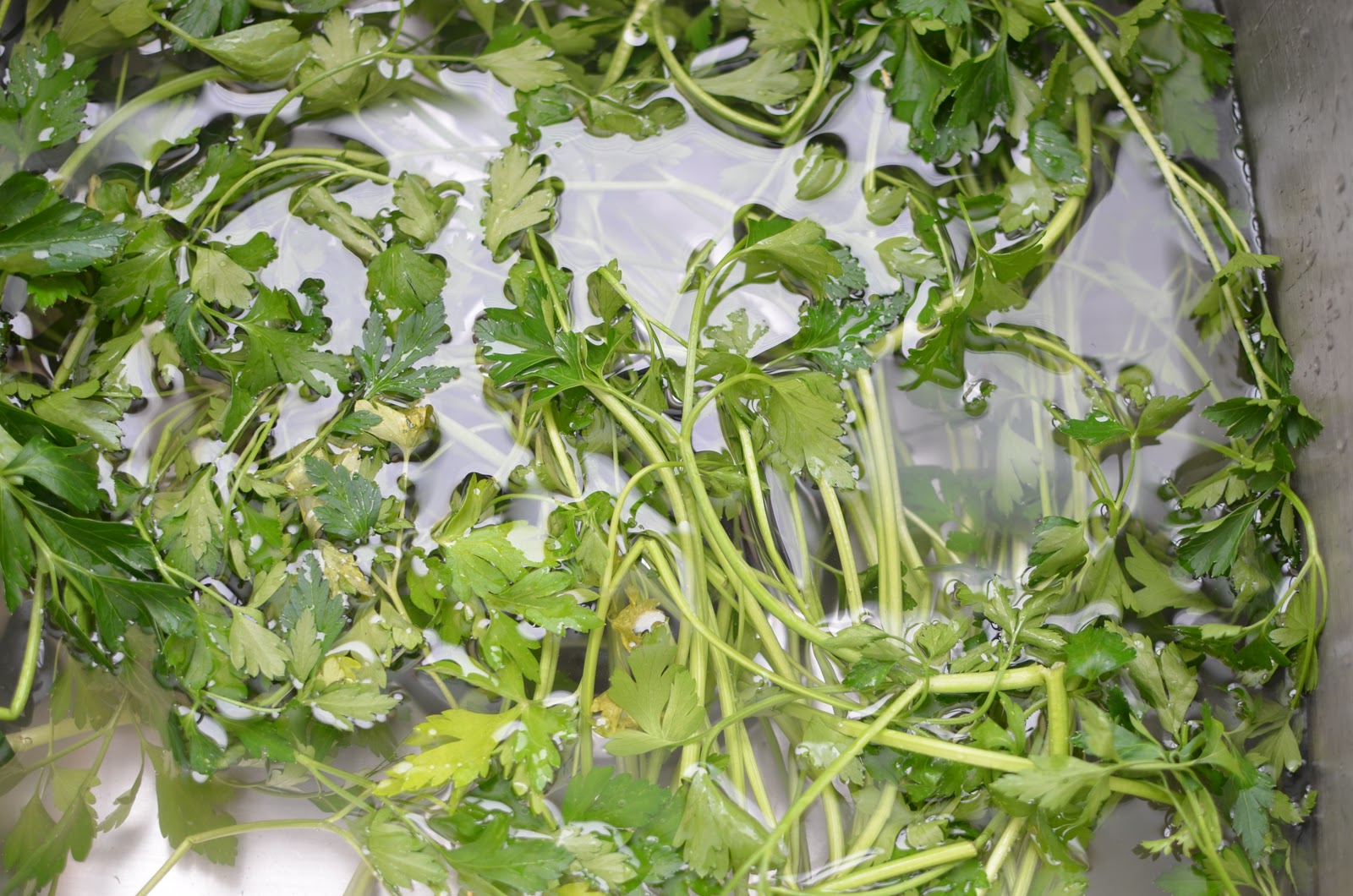 Preserving Herbs How to Freeze Parsley Provident Princess