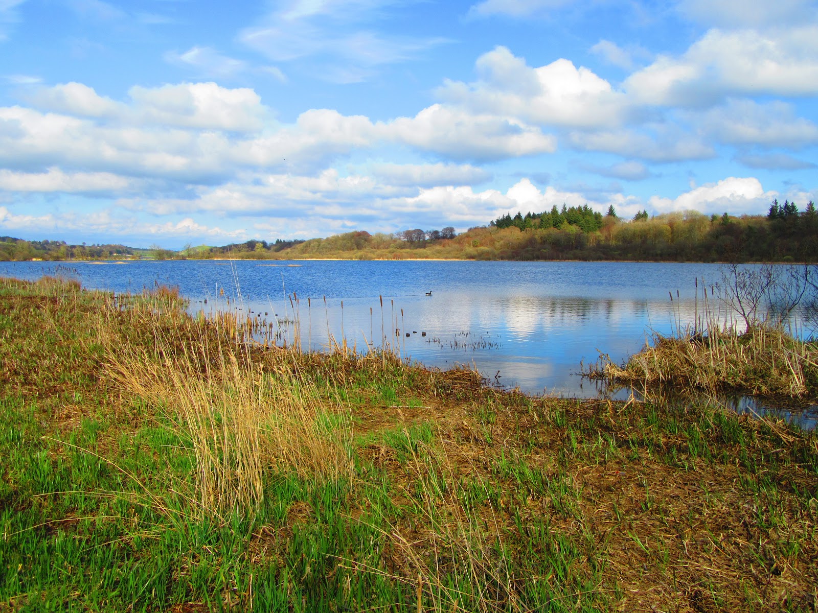 RSPB Lochwinnoch