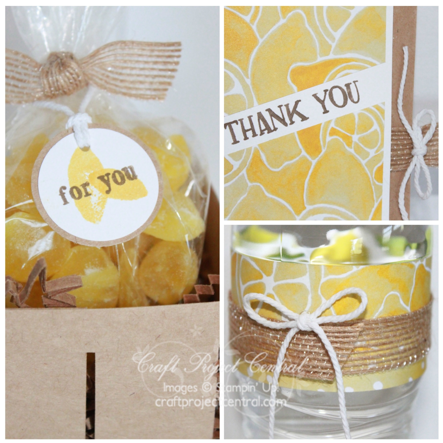 Figments of my Imagination Lemonade Stand Gift Set by Julie Beltramo