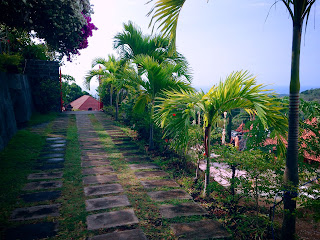 Views Of The Plants And Trees Of Garden Road At Brahmavihara Arama Monastery North Bali