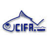 CIFA Recruitment CIFA Recruitment