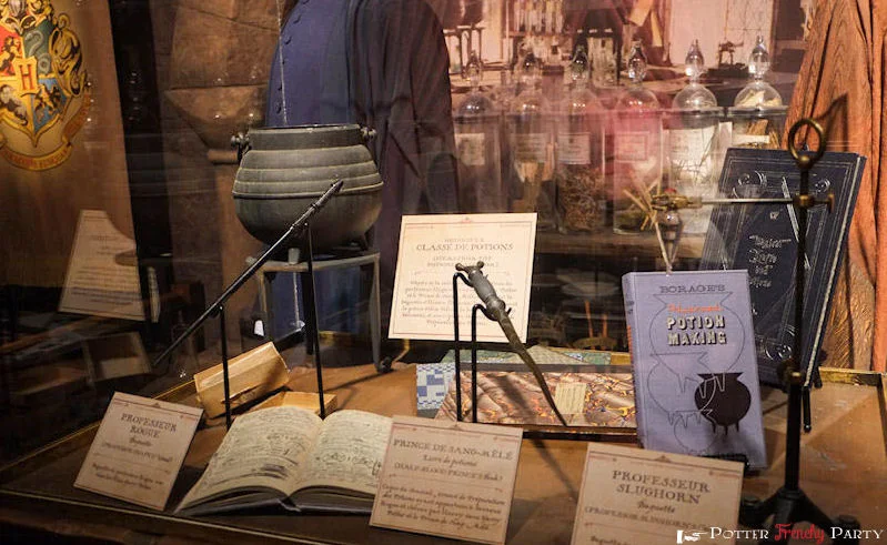 Dynamic Exposition D'harry Potter | Aller Simple Pour Le Monde Des Sorciers Picture Art