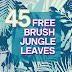 45 Jungle Tropical Leaves Photoshop Brush