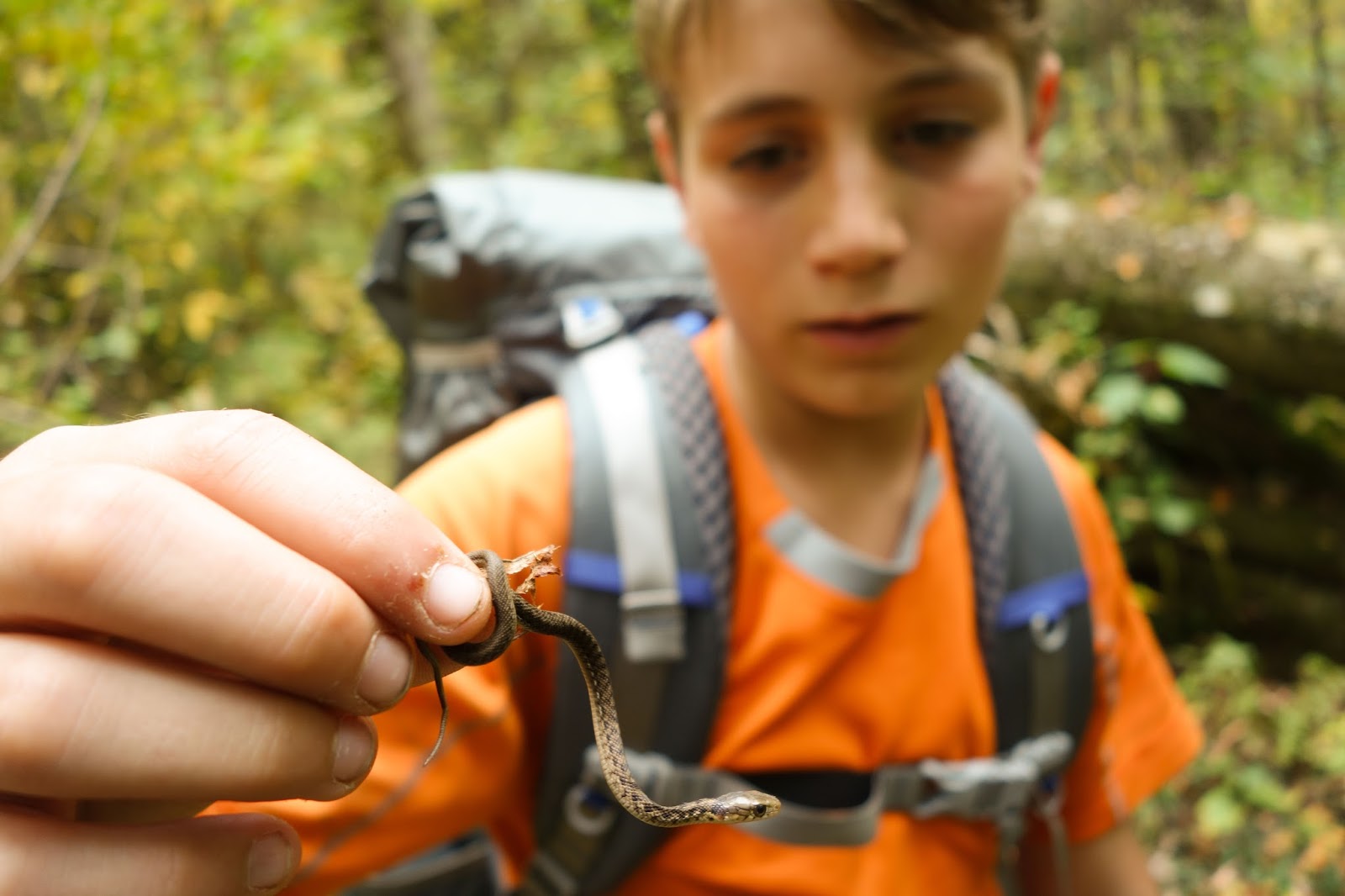 Aidan with snake