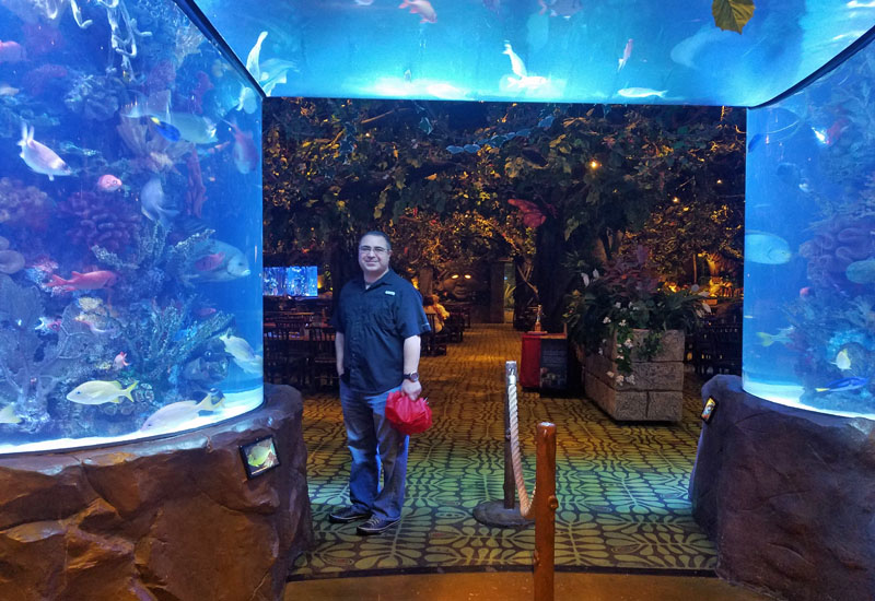 Rainforest Cafe at Opry Mills Travel Quest US Road Trip and Travel