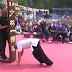 Incredible Shaolin Skill: The "One Finger Stand" performed by a Monk