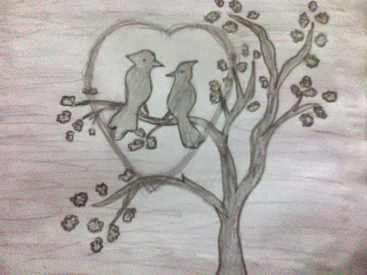 Featured image of post Love Bird Images Sketch / Free for commercial use no attribution required high quality images.