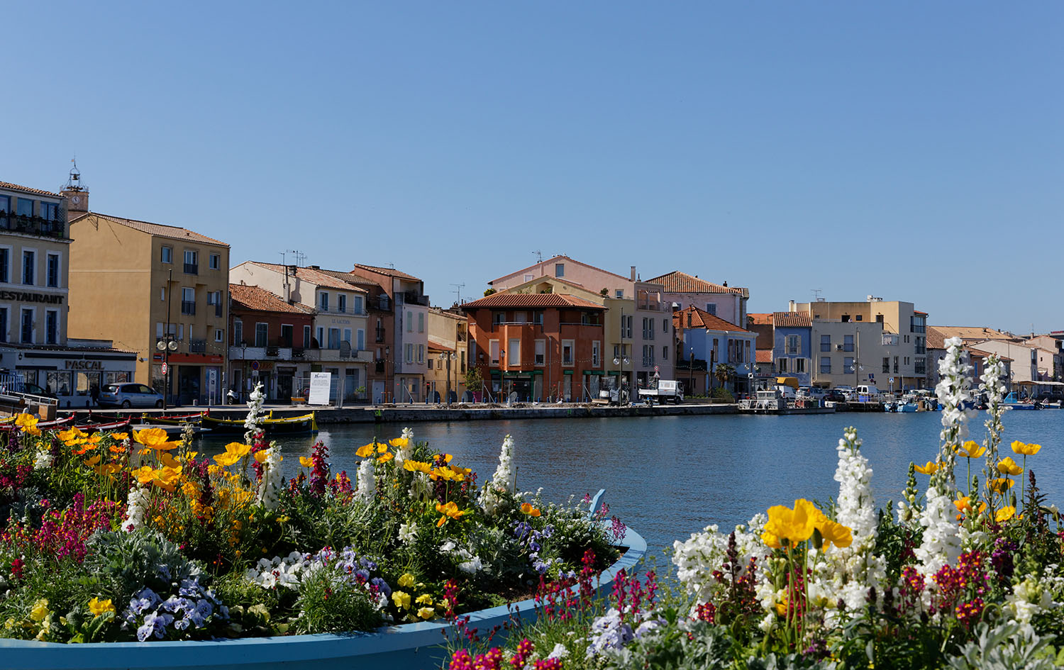 Orchidées sauvages, randos, BlogOdileNature Martigues, la Venise