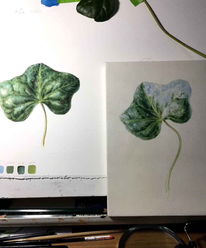 Ivy painting picture of ivy watercolour
