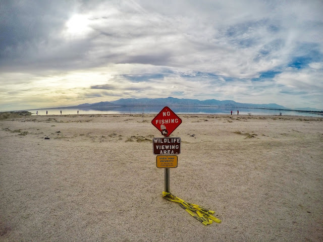 The Salton Sea: A Ghostly Lake in the Desert