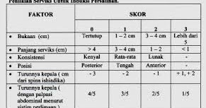 Teknik Pemeriksaan Hasil Tes Tulis Lisan dan pembuatan Teknik Pemeriksaan Hasil Tes Tulis Lisan dan pembuatan