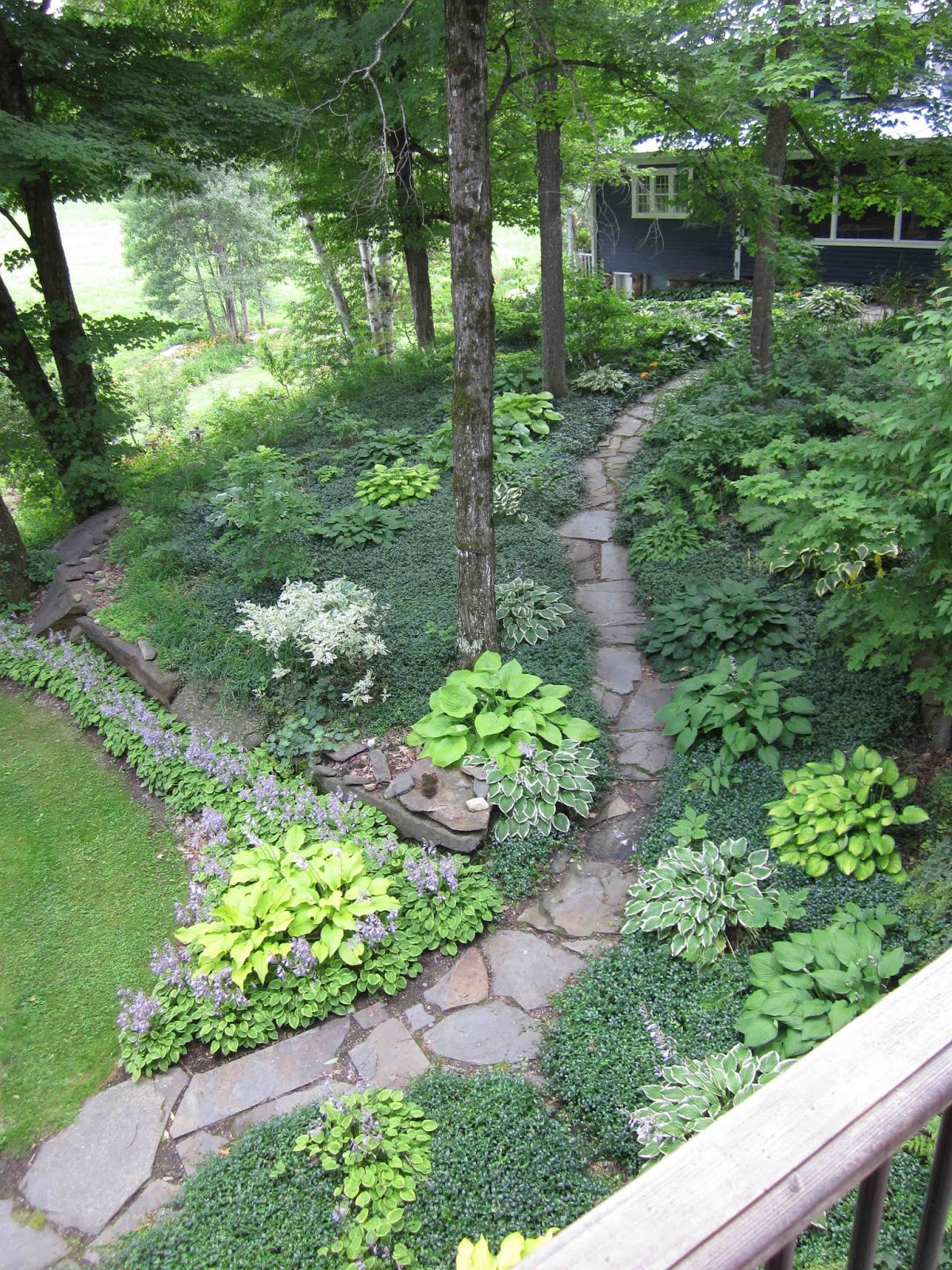 Hardy Plant Club of Northern Vermont
