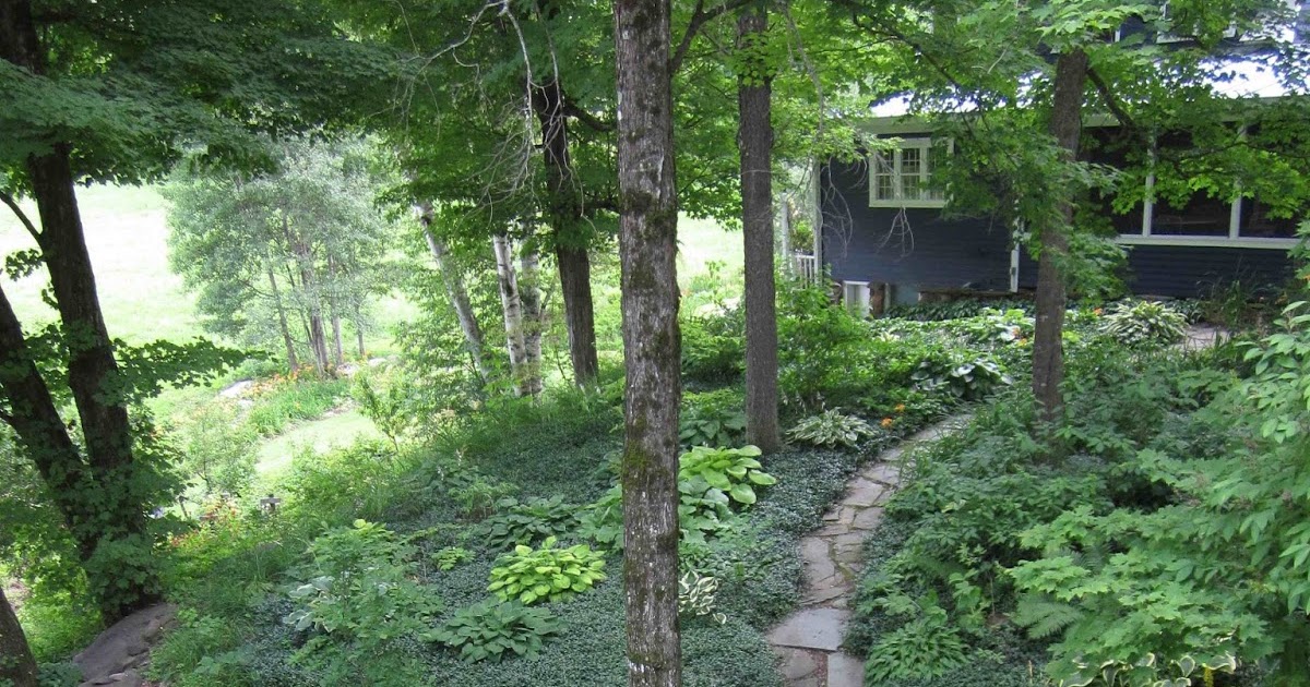 Hardy Plant Club of Northern Vermont