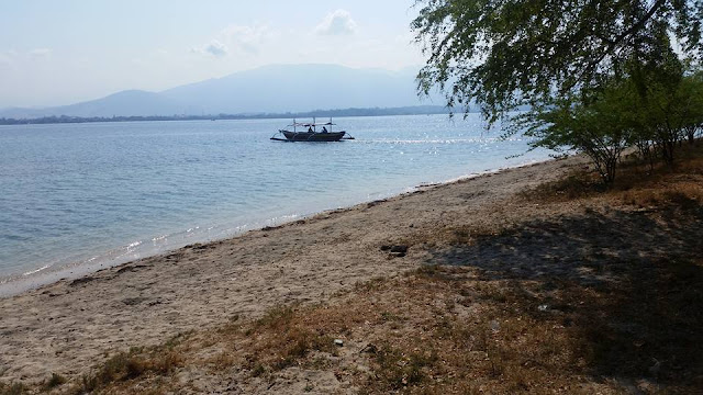 A bushes that provide natural shade lies in the shoreline of Longo beach.