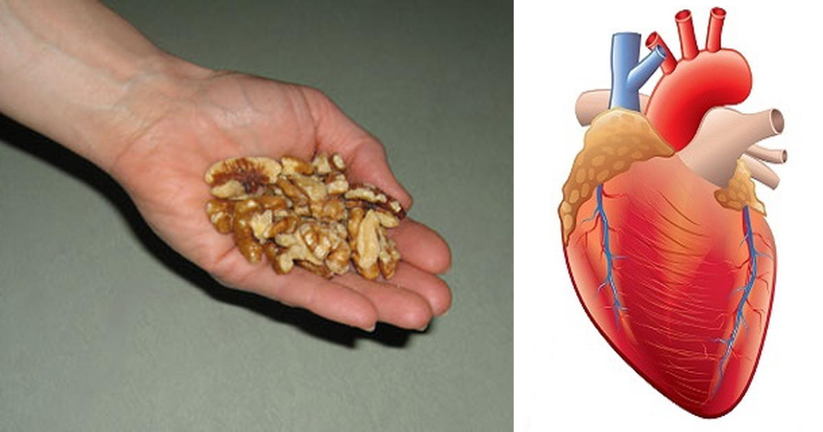 walnut health benefits,Walnut for heart