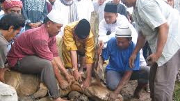 Masalah Qurban Dan Aqiqoh mustarok