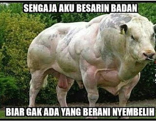 Kumpulan Gambar Meme DP BBM Gokil Idhul Adha Hari Kurban Terbaru 2018 Kumpulan Gambar Meme DP BBM Gokil Idhul Adha Hari Kurban Terbaru 2018