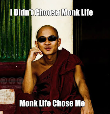 I didn't choose monk life, funny cool picture