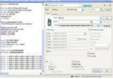 Crack Wise Installer Debug