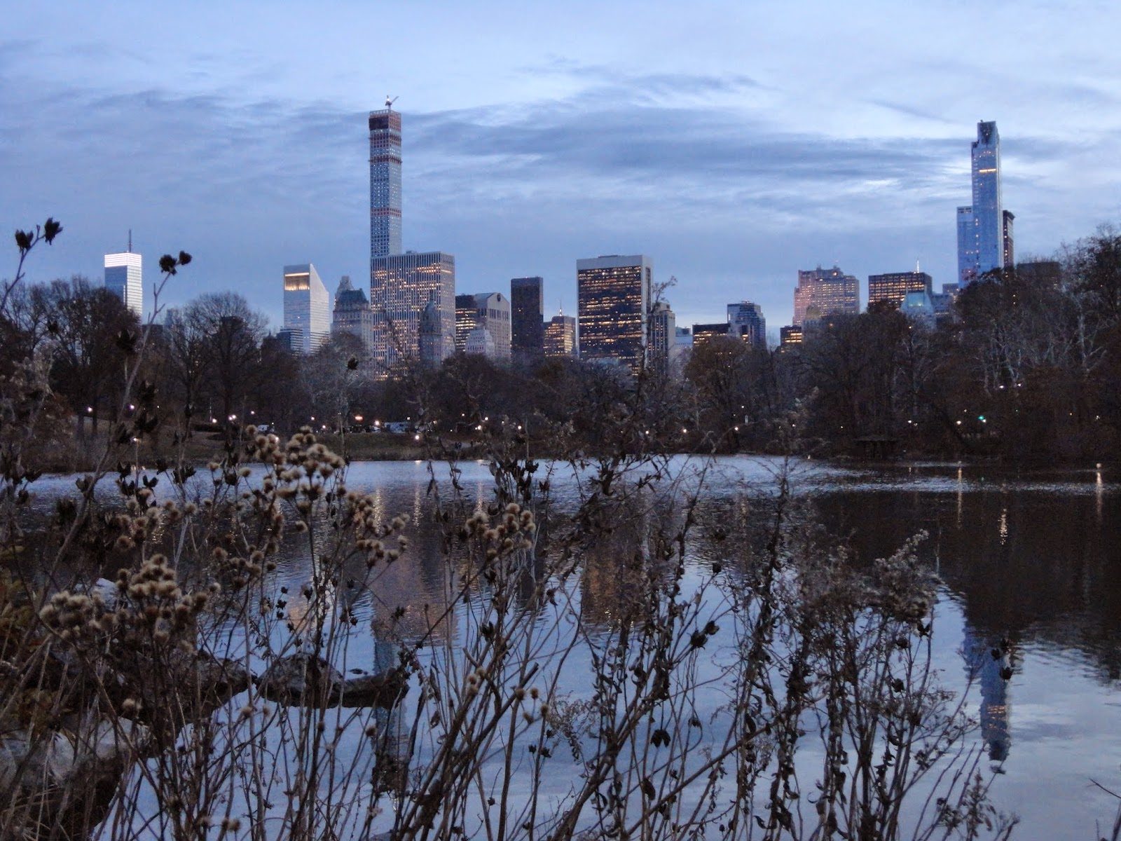 MSLC Atardercer desde el parque . lagobosqueroca . New York